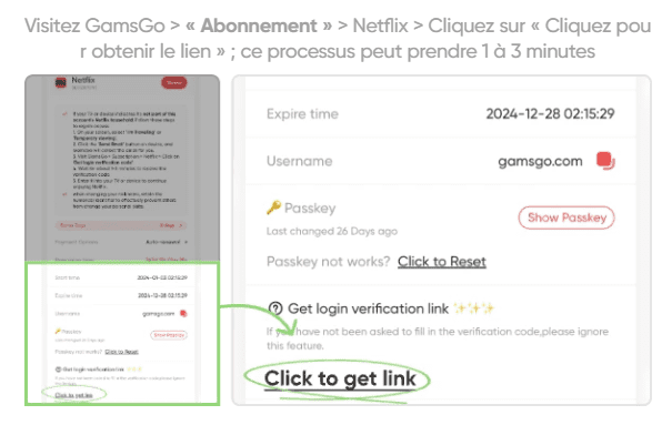 gamsgo-verification-netflix-account