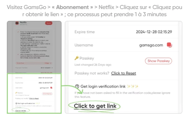 gamsgo-verification-netflix-account