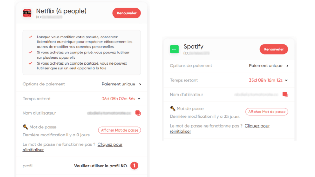 Abonnement Disney+ pas cher à 3€/mois avec ce bon plan 39 mes-abonnements-netflix-spotify-sur-gamsgo