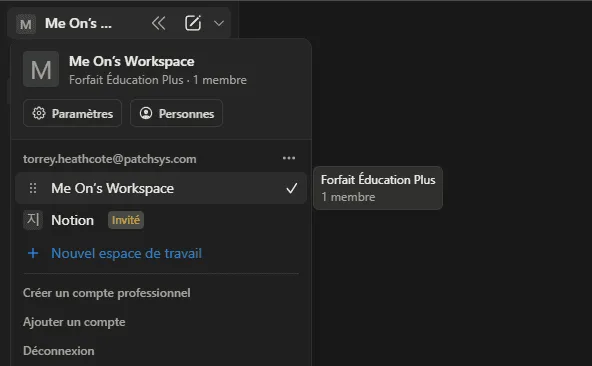 Vue forfait Plus sur Notion