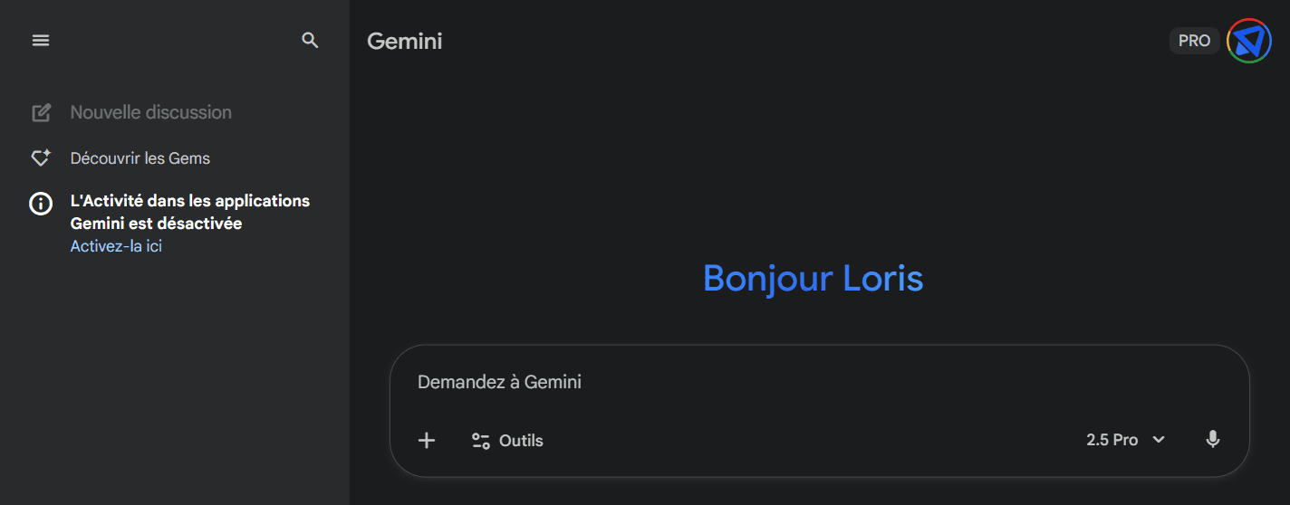 Vue Gemini Pro après partage