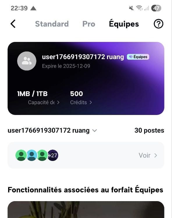 Accès CapCut Pro application mobile